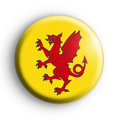 Somerset County Flag Badge