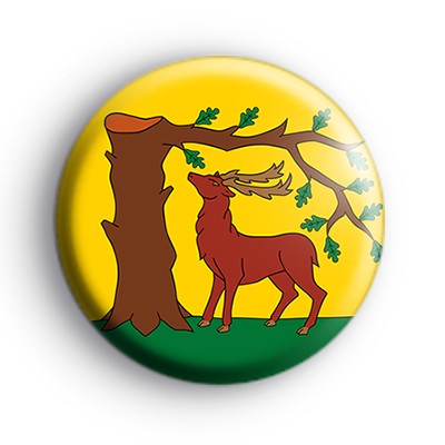 Berkshire County Flag Badge