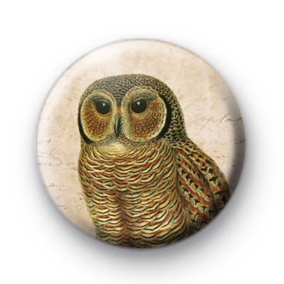 Retro Owl 5 Badge
