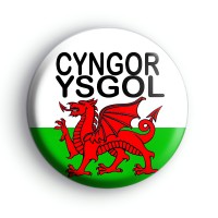 Welsh School Council Badge
